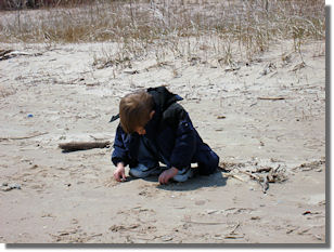 Z-Man finds Treasure