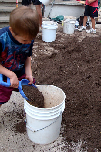 Raised Garden - Z-Man Digging