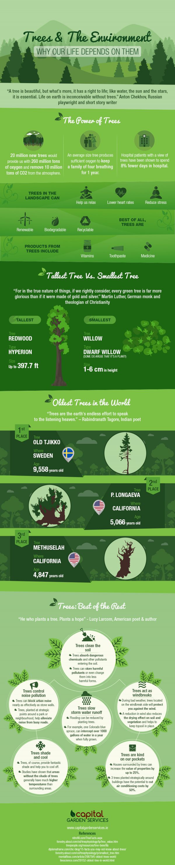 trees-and-the-environment-why-life-depends-on-them